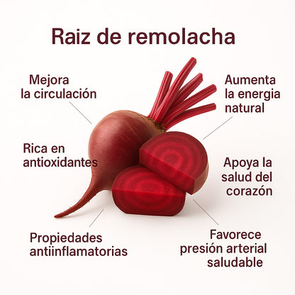 Raíz de remolacha